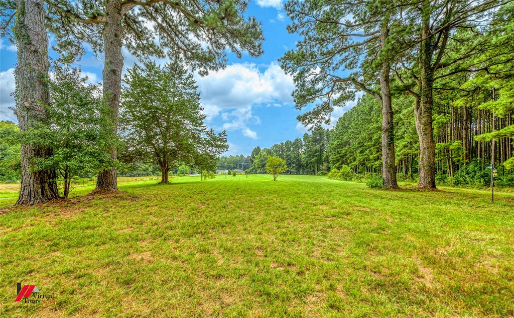 1177 Princeton Road Princeton, LA 71067 - Photo 30 of 34 a view of a field with trees in the background