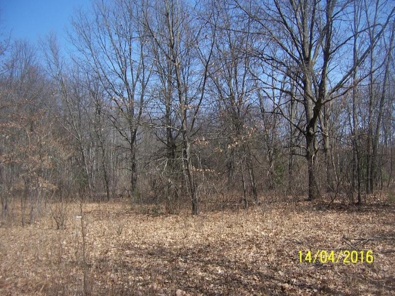 1656 North Greenville Road Stanton, MI 48888 - Photo 1 of 7 100_3244