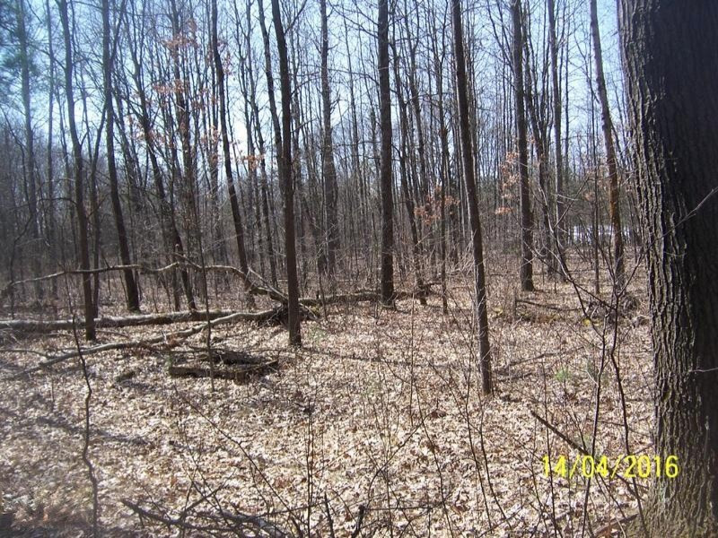 1656 North Greenville Road Stanton, MI 48888 - Photo 3 of 7 100_3246