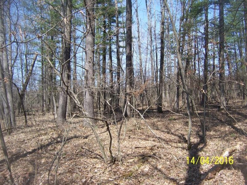 1656 North Greenville Road Stanton, MI 48888 - Photo 4 of 7 100_3247