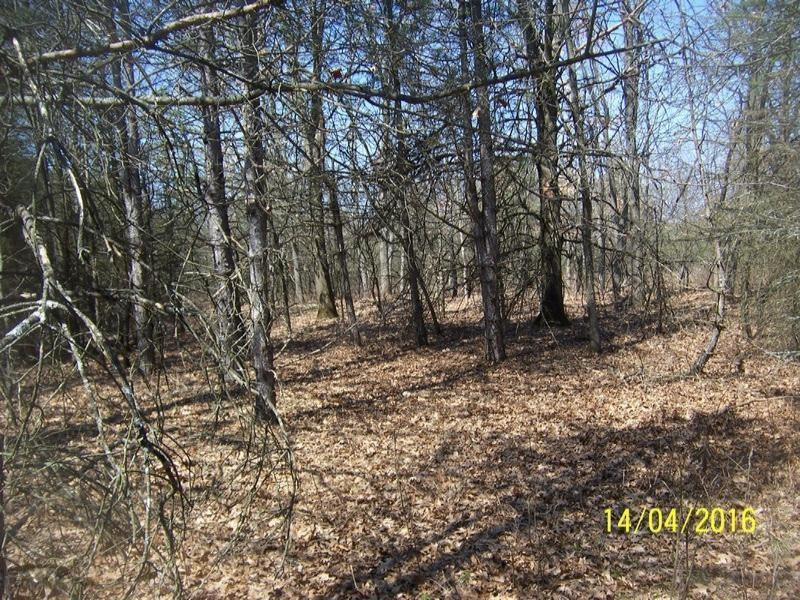 1656 North Greenville Road Stanton, MI 48888 - Photo 7 of 7 100_3250
