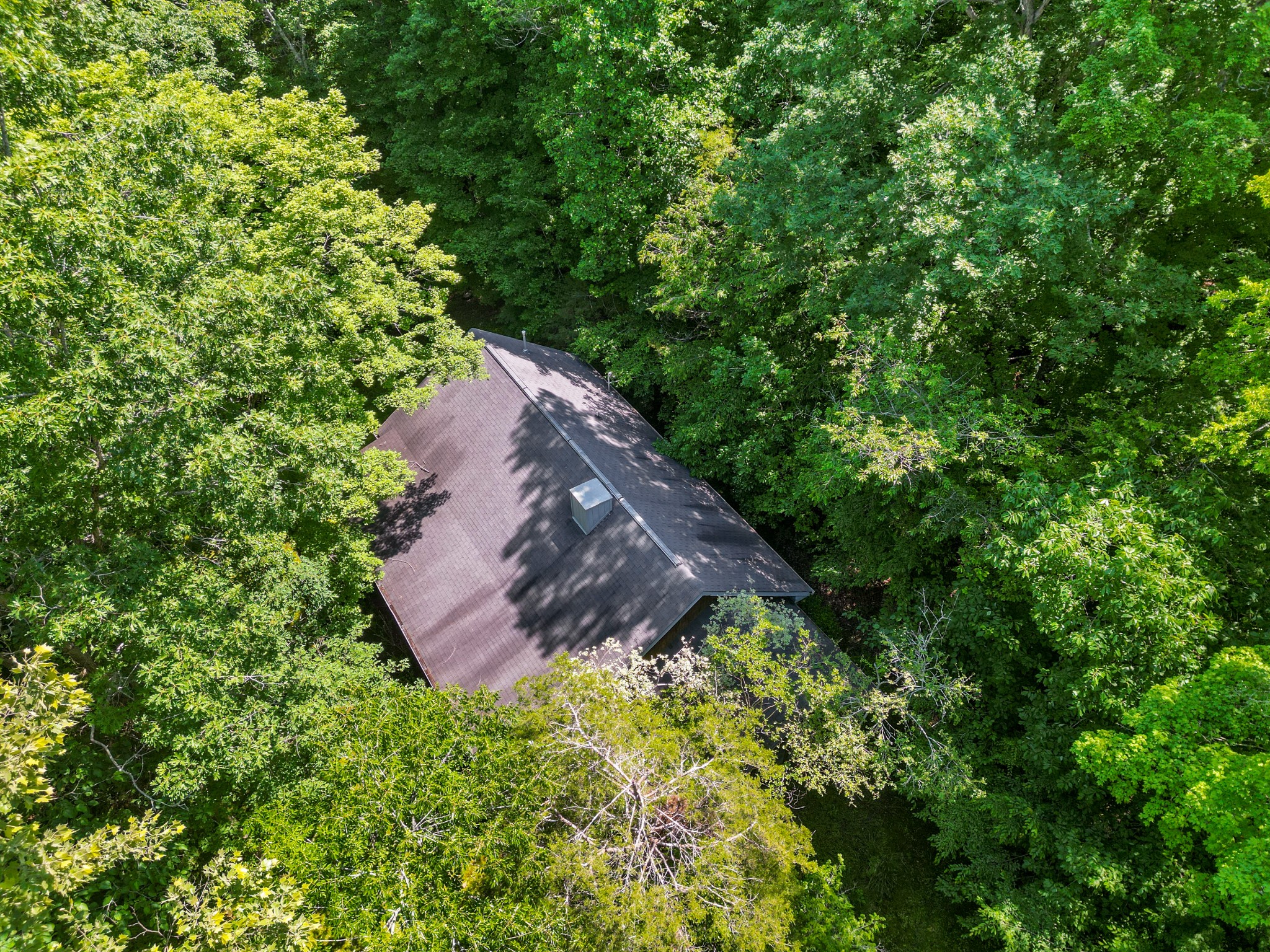 1150 Treanor Springs Road Kingston Springs, TN 37082 - Photo 33 of 48