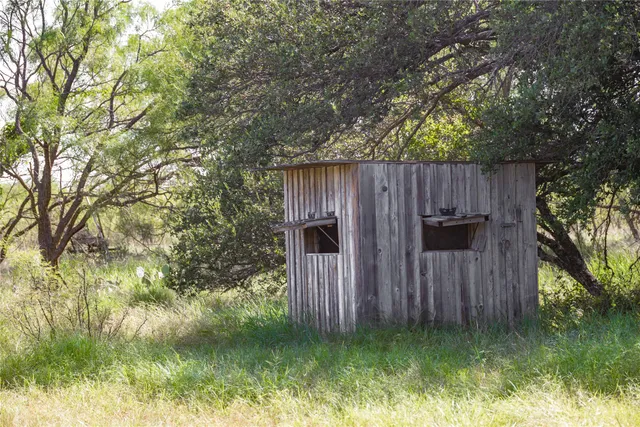 a picture of a yard with a tree