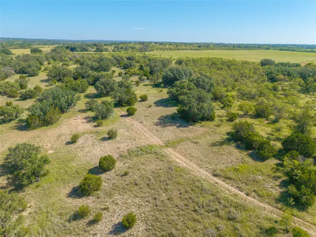 a view of a forest with trees in the background