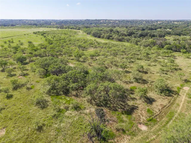 a view of a lush green forest with trees and some houses