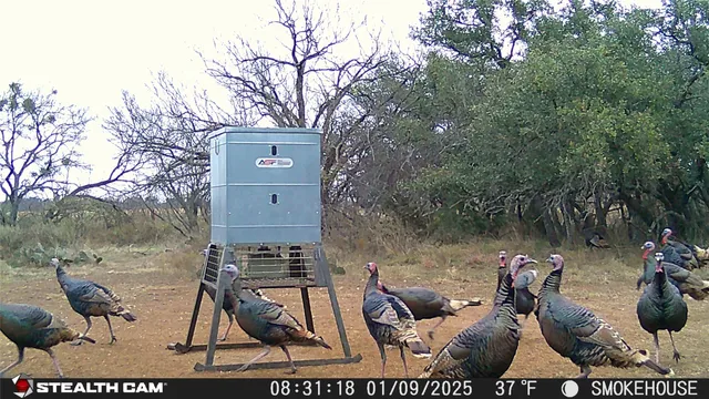 a view of a field with a building in the background
