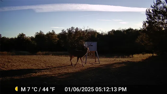 a view of lake with mountain