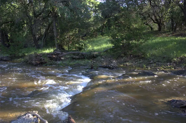 a view of a trees and yard