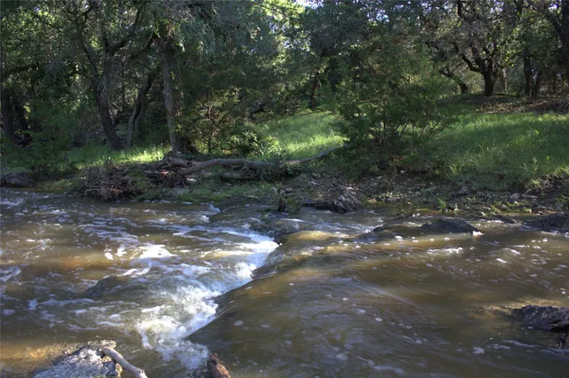 a view of a trees and yard