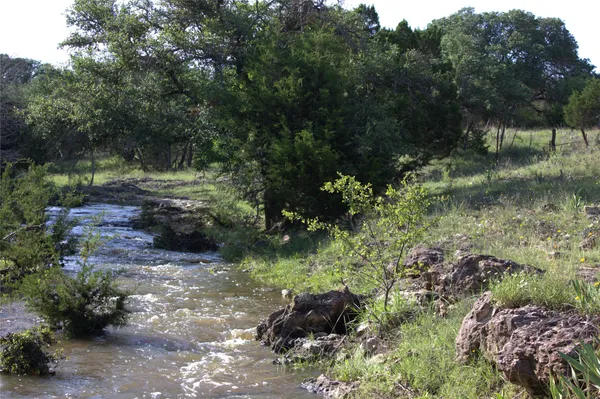 a view of a garden with a lake