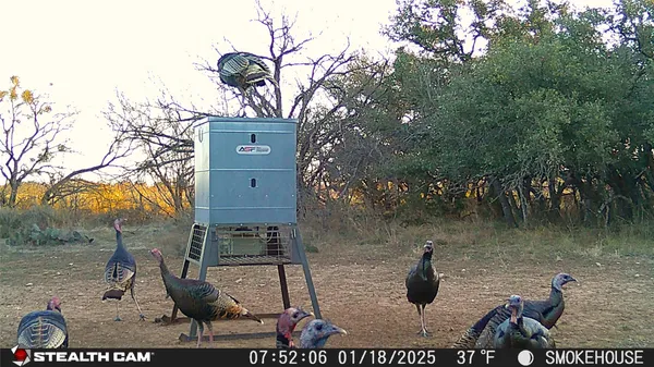 a view of a lake with a bench in the background
