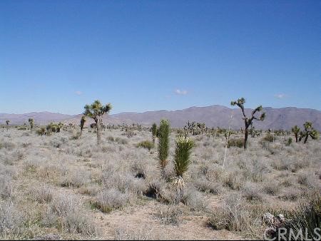 Canyon View Road Apple Valley, CA 92308 - Photo 1 of 1