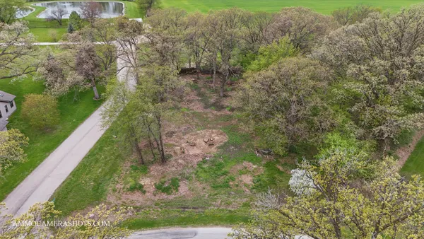 a yard with tall trees