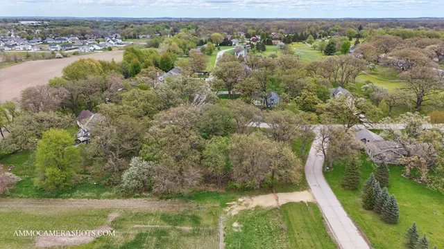 an aerial view of residential houses with outdoor space and trees