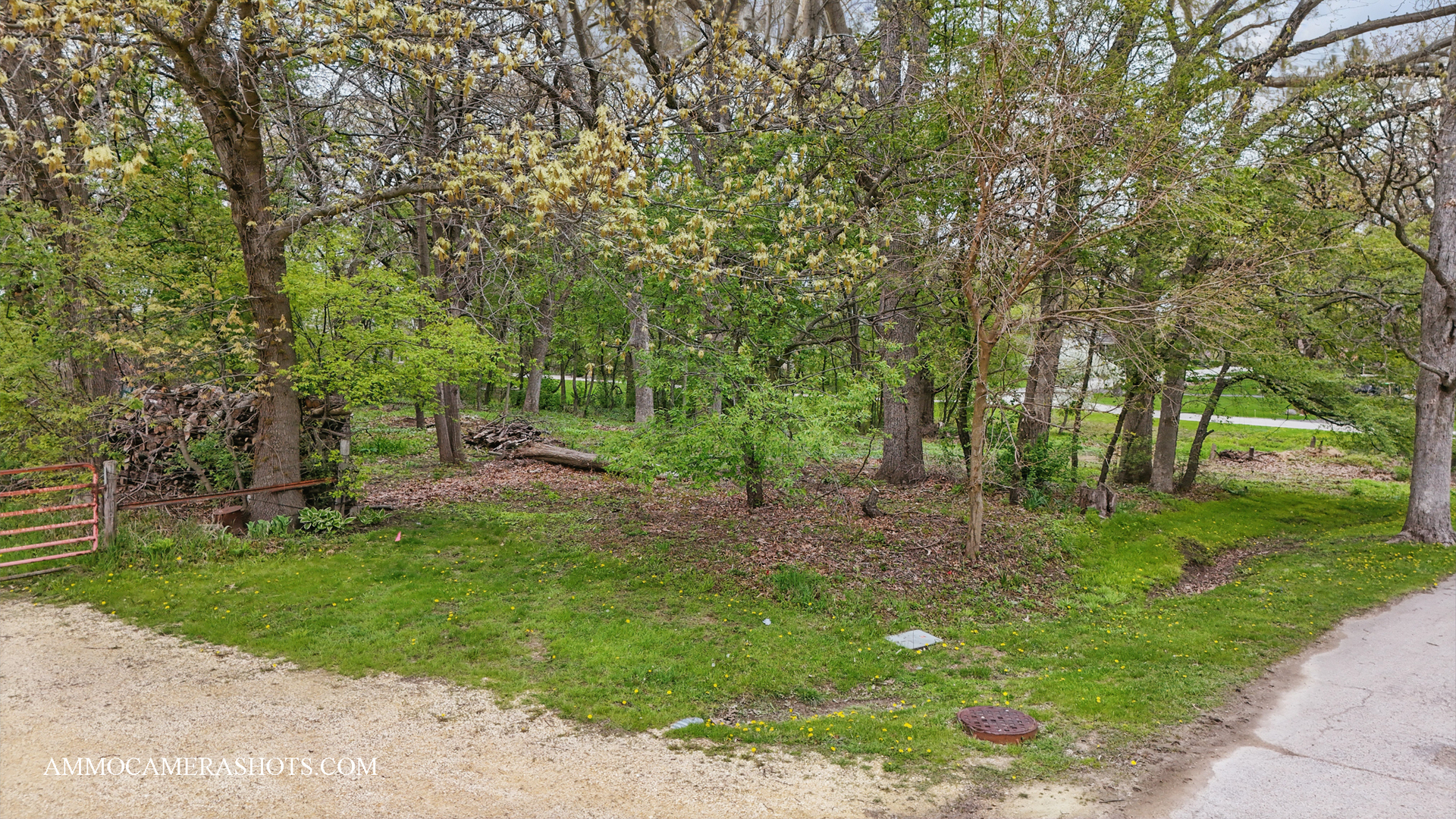 Lot 3 Ellwood Greens Road Genoa, IL 60135 - Photo 17 of 20 a backyard of a house with lots of green space