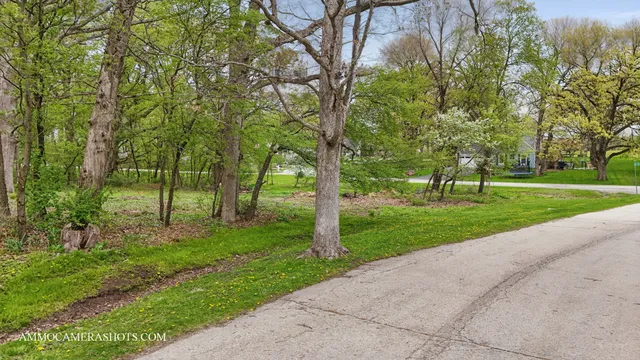 a view of a park with large trees