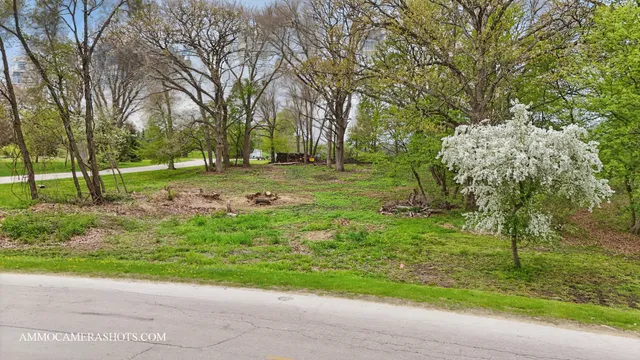a view of backyard with green space