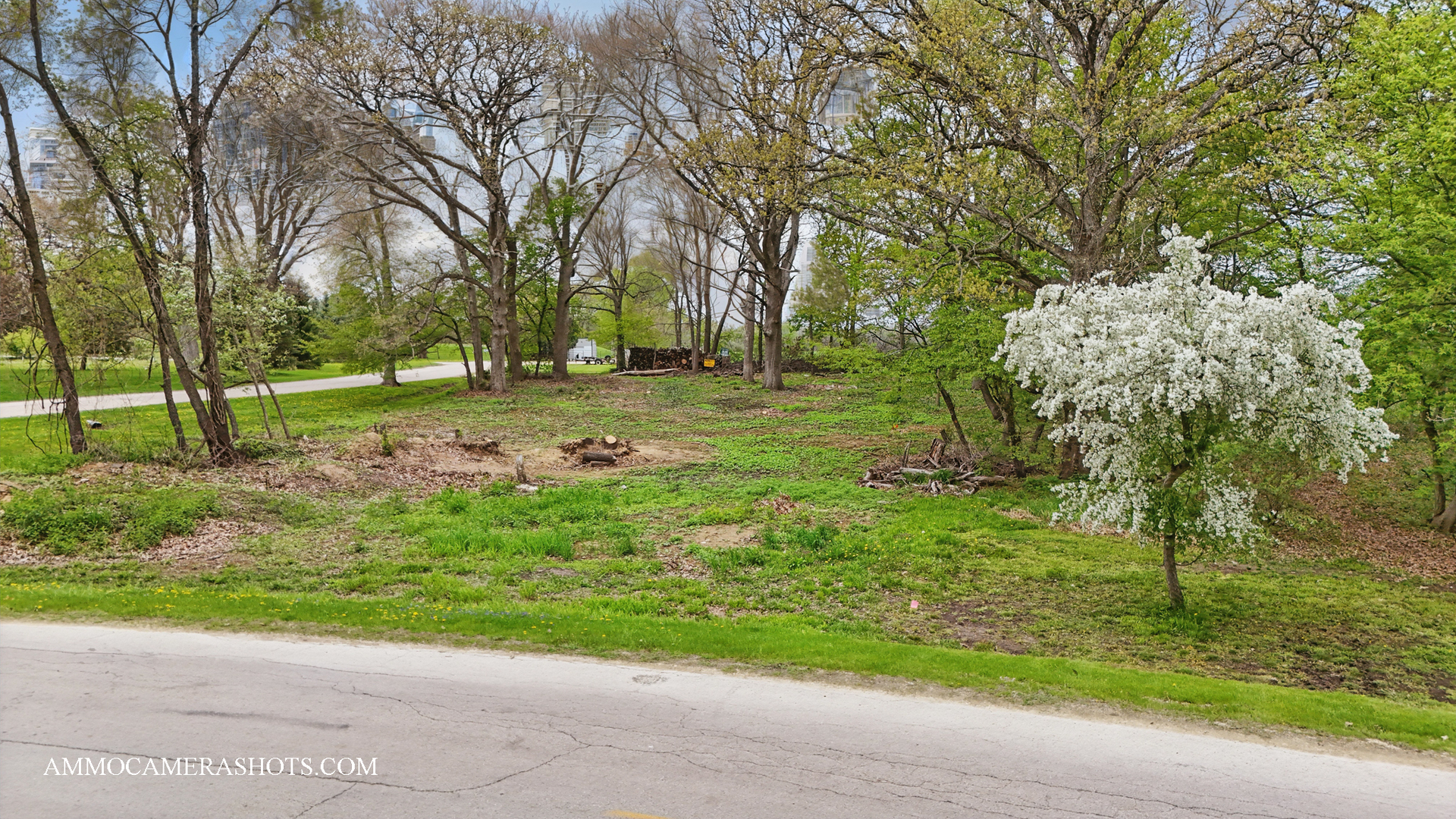 Lot 3 Ellwood Greens Road Genoa, IL 60135 - Photo 20 of 20 a view of backyard with green space