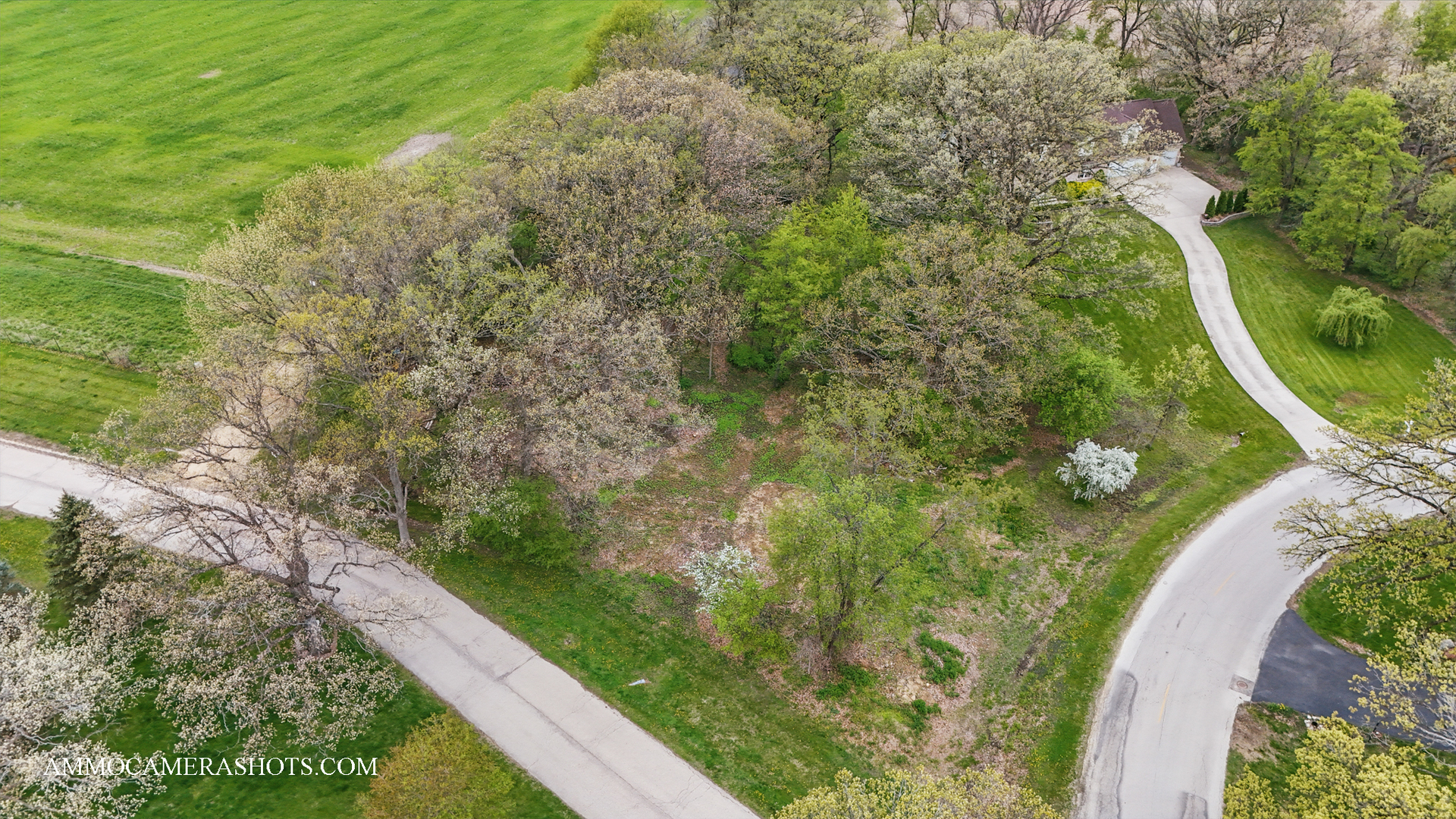Lot 3 Ellwood Greens Road Genoa, IL 60135 - Photo 3 of 20 a view of a swimming pool with a garden
