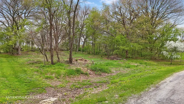 a view of a park with large trees