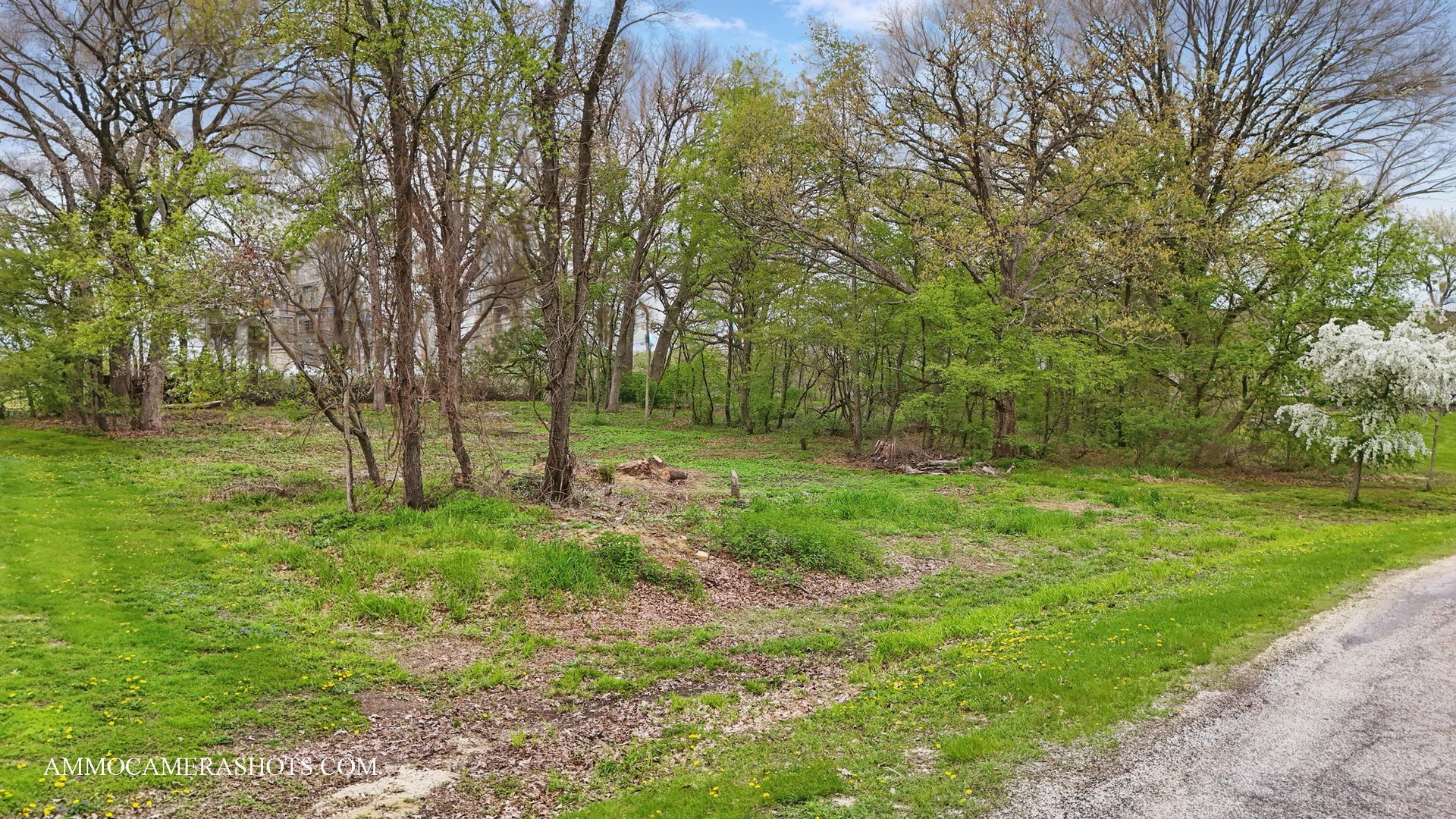 Lot 3 Ellwood Greens Road Genoa, IL 60135 - Photo 9 of 20 a view of a park with large trees