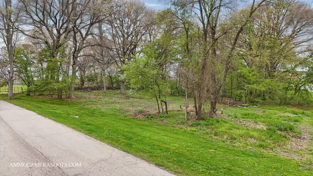 a view of a park with large trees