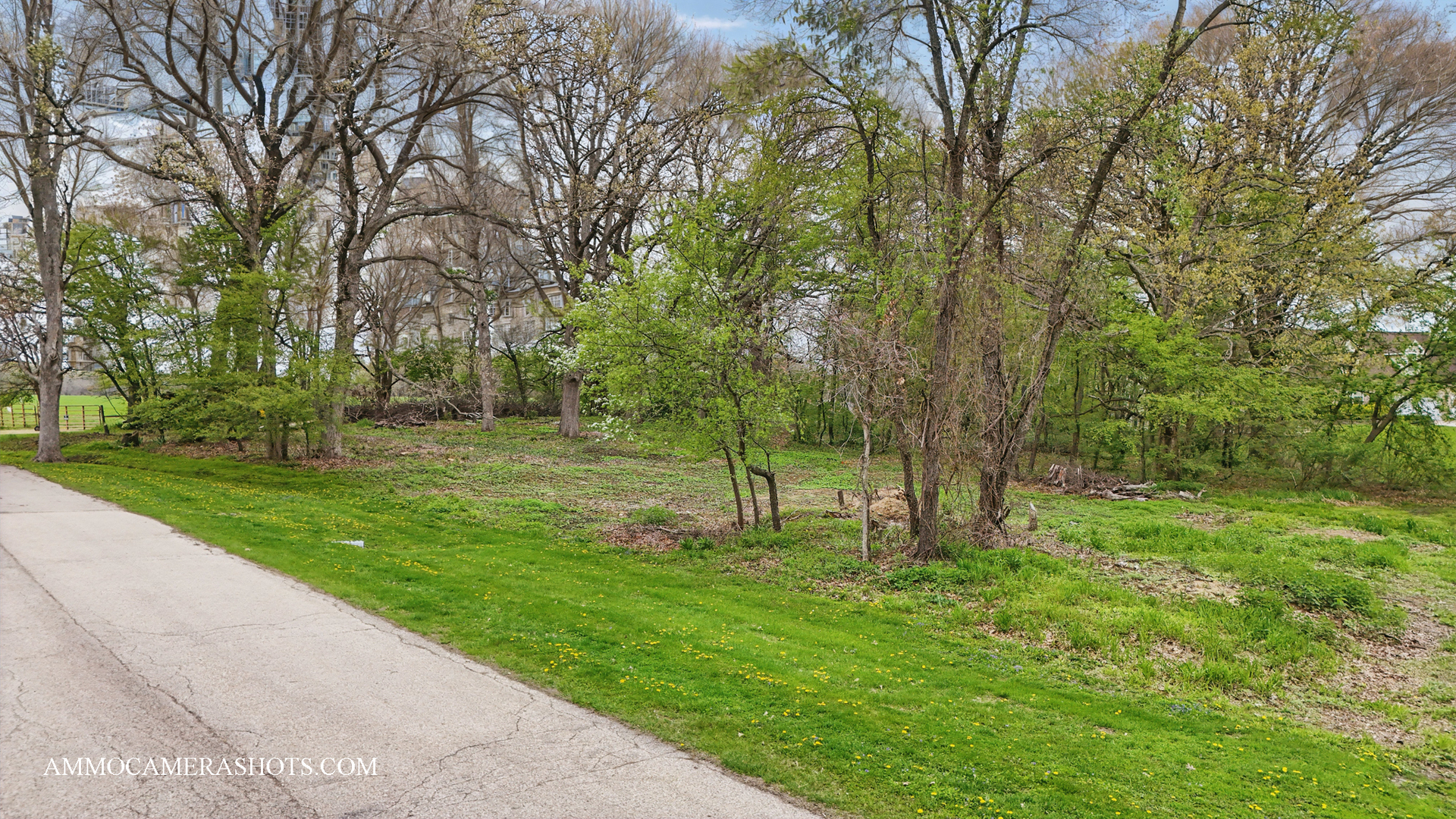 Lot 3 Ellwood Greens Road Genoa, IL 60135 - Photo 10 of 20 a view of a park with large trees