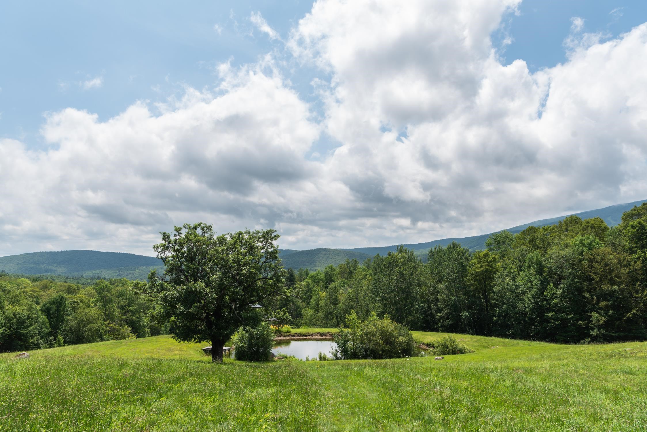 25 Mountain Haunts Road Winhall, VT 05340 - Photo 45 of 56