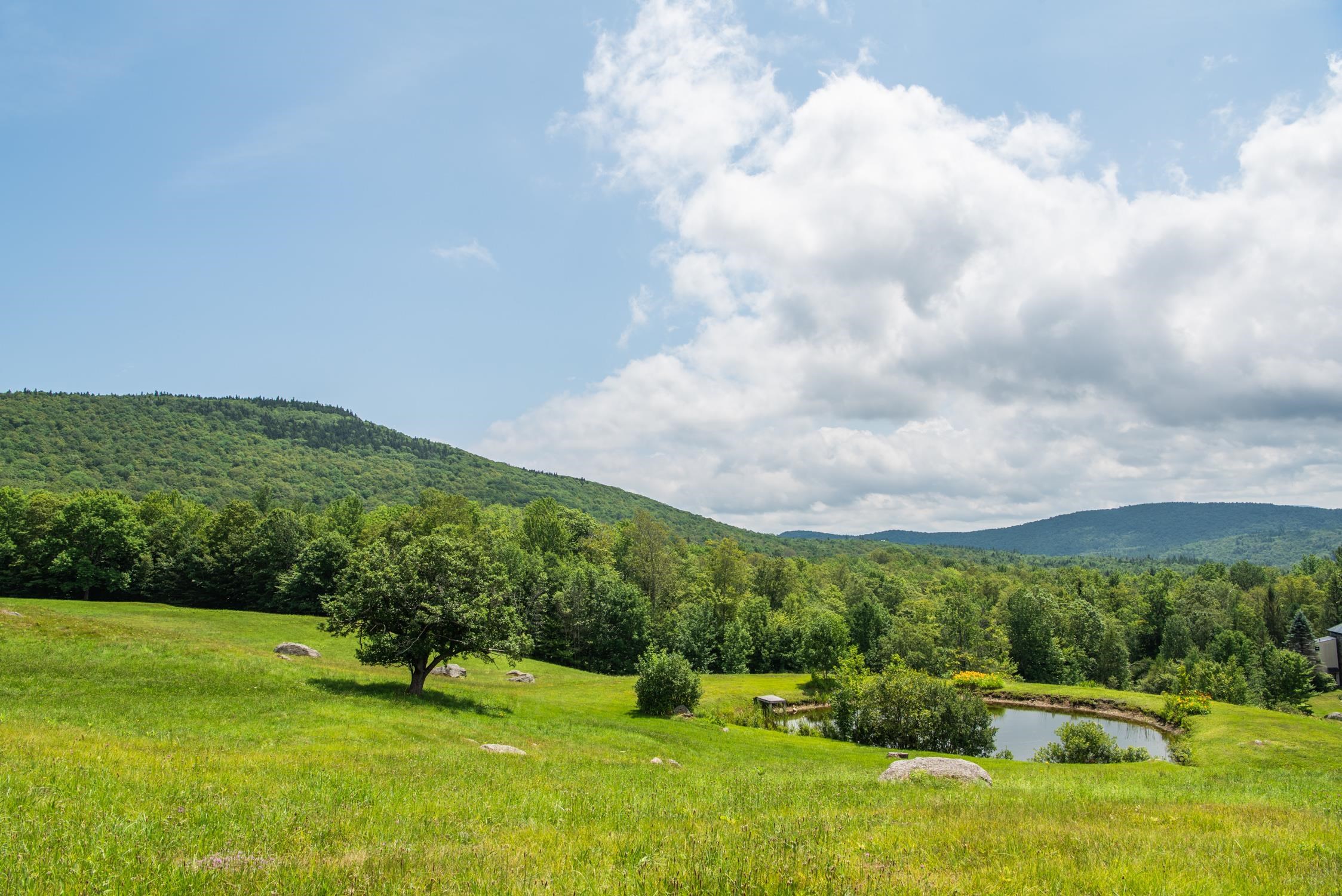 25 Mountain Haunts Road Winhall, VT 05340 - Photo 46 of 56