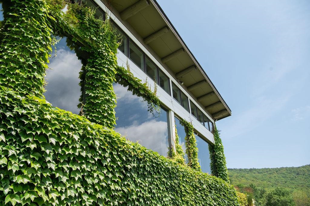 25 Mountain Haunts Road Winhall, VT 05340 - Photo 49 of 56