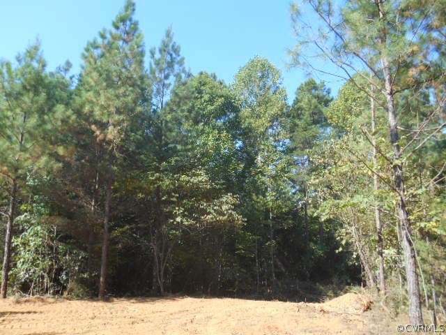 0 Davis Lowground Road Keysville, VA 23947 - Photo 4 of 4 a view of a snow in the forest