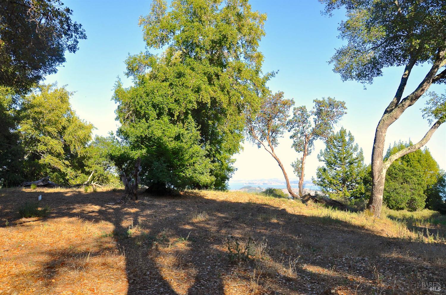 128 Ridgecrest Road Kentfield, CA 94904 - Photo 53 of 69