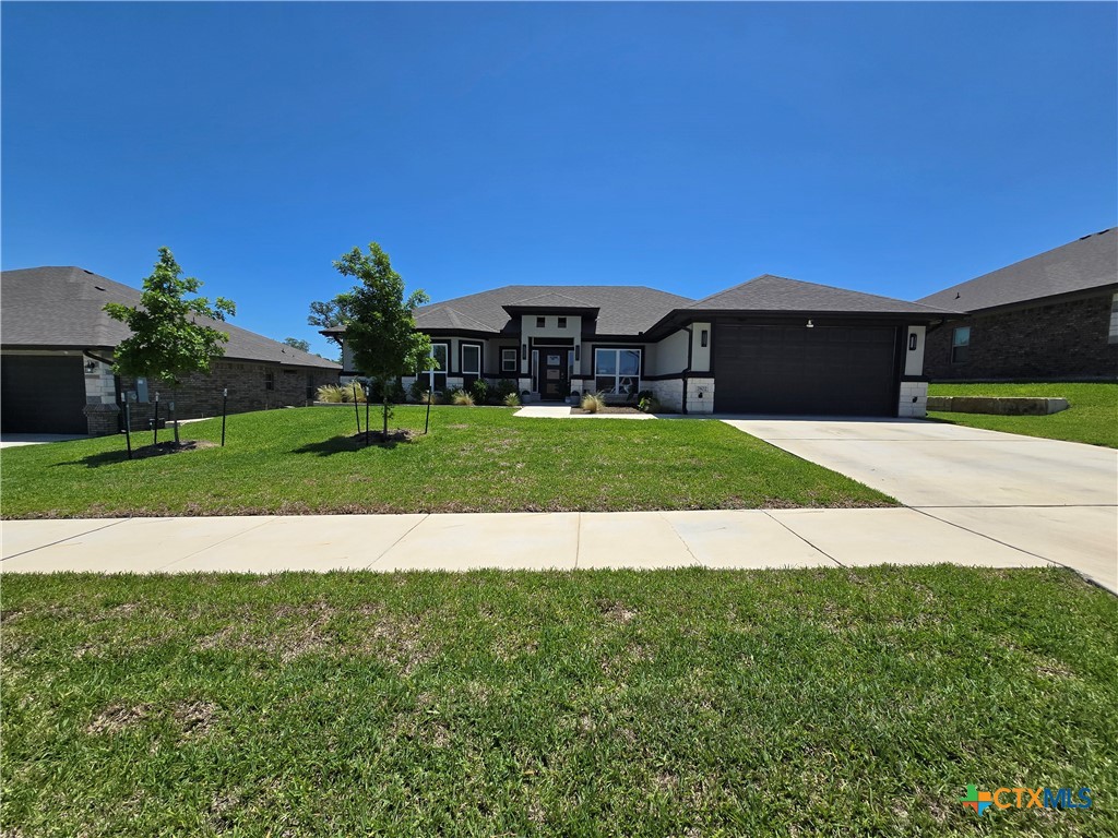 a view of a house with a yard and a large tree