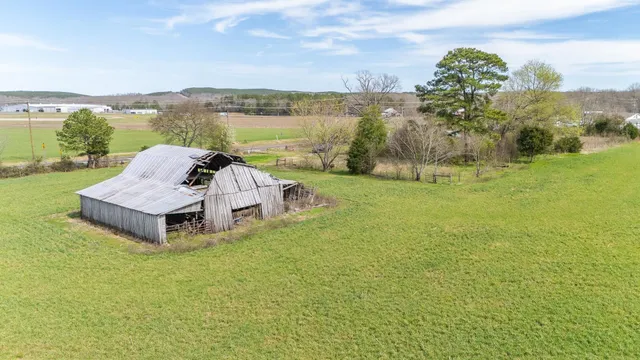 a view of a garden with an ocean