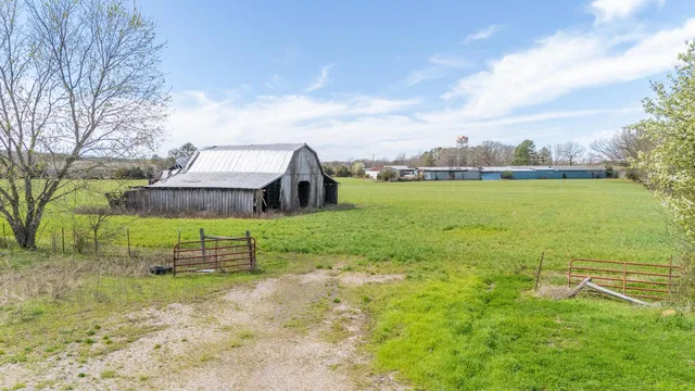 a view of a garden with an outdoor space