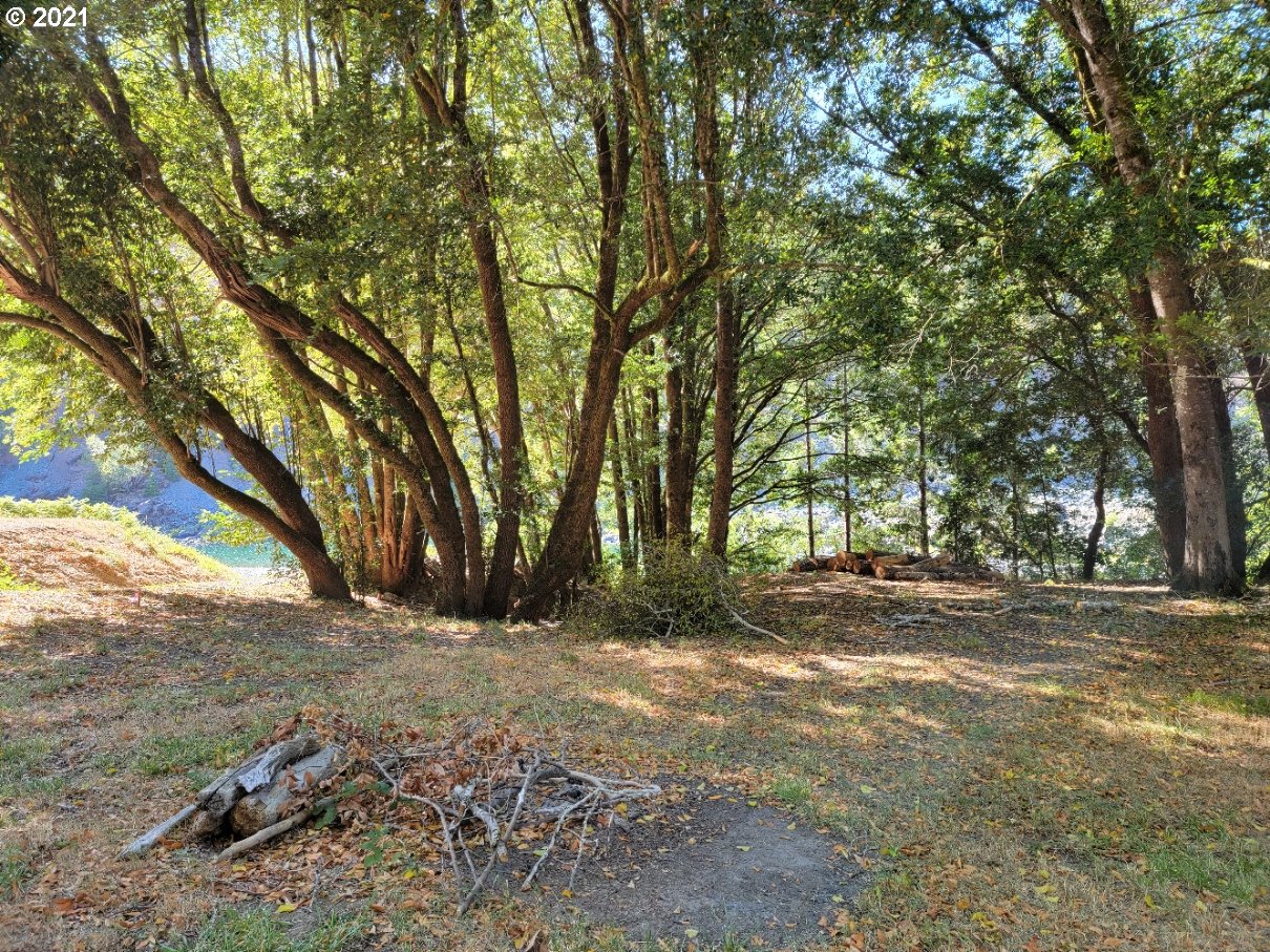 33880 Zane Grey Road Agness, OR 97406 - Photo 4 of 26