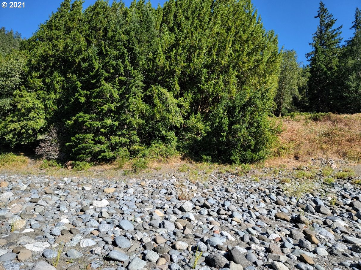 33880 Zane Grey Road Agness, OR 97406 - Photo 6 of 26