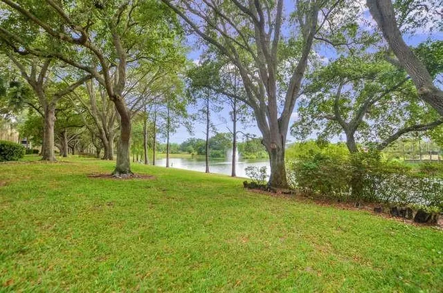a green field with some trees in the background