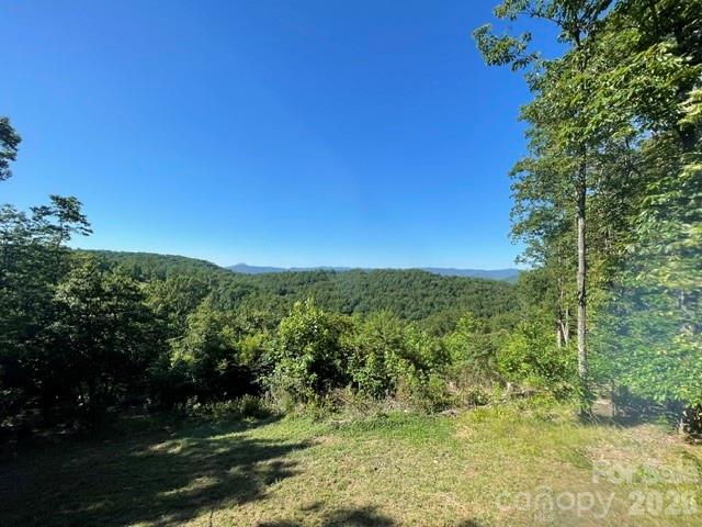 1300 Towery Trace Road Ellenboro, NC 28040 - Photo 33 of 38