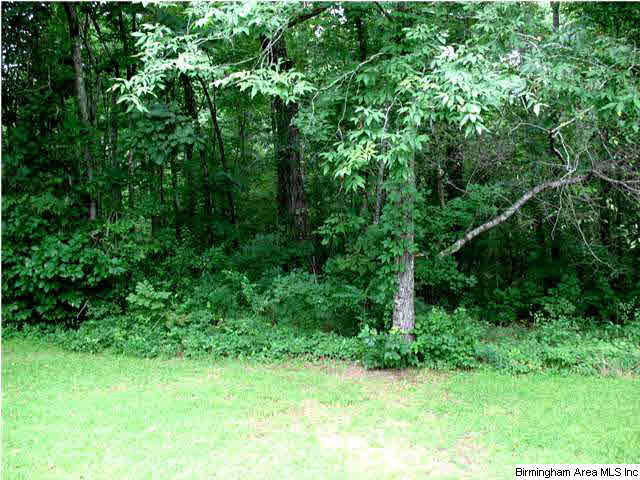 1030 Sitton Road Hayden, AL 35079 - Photo 19 of 26