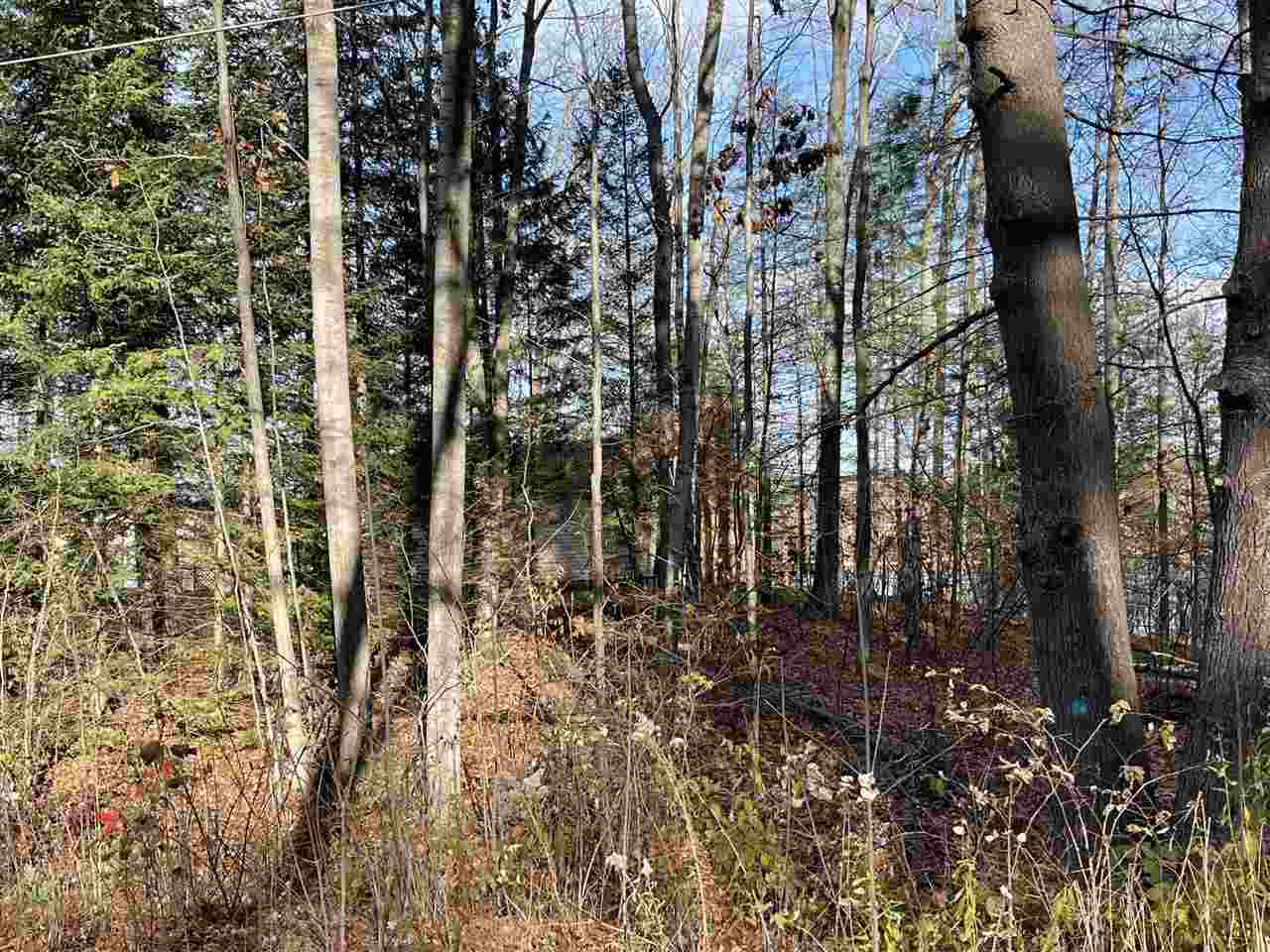 5600 Gronda Road Harrison, MI 48625 - Photo 81 of 83 1896080-80.JPG