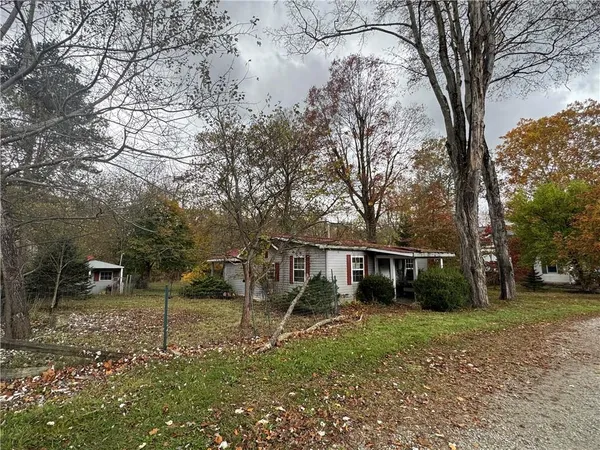 a view of a yard