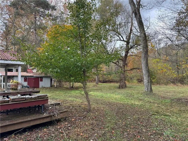 a view of a backyard with large trees