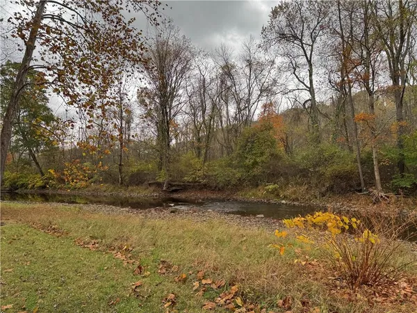 a view of a yard with trees
