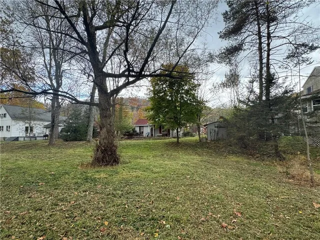 a view of a tree in a yard