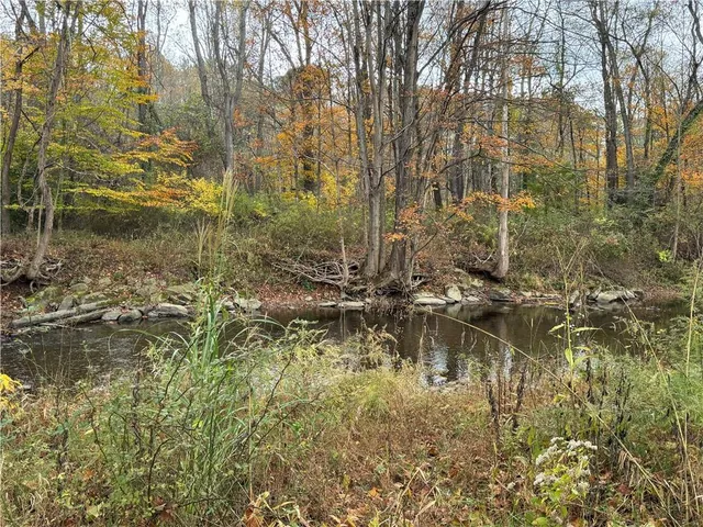 a backyard of a building with large trees