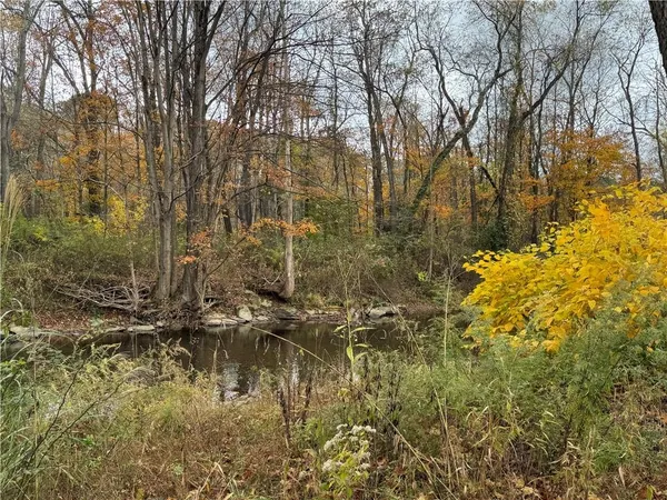 a view of a yard with plants and trees