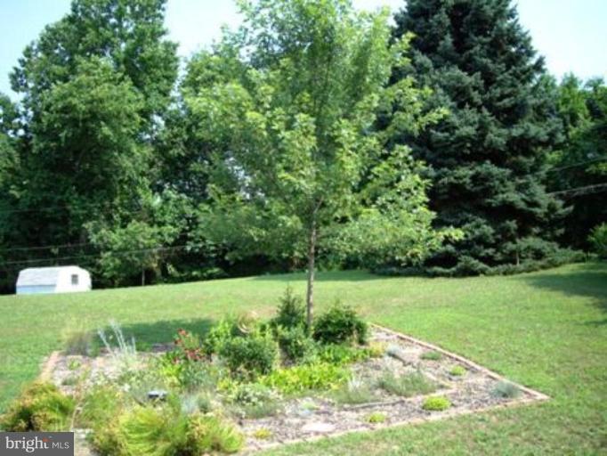 1317 Murgatroyd Road Fallston, MD 21047 - Photo 4 of 17 a view of a field with a tree