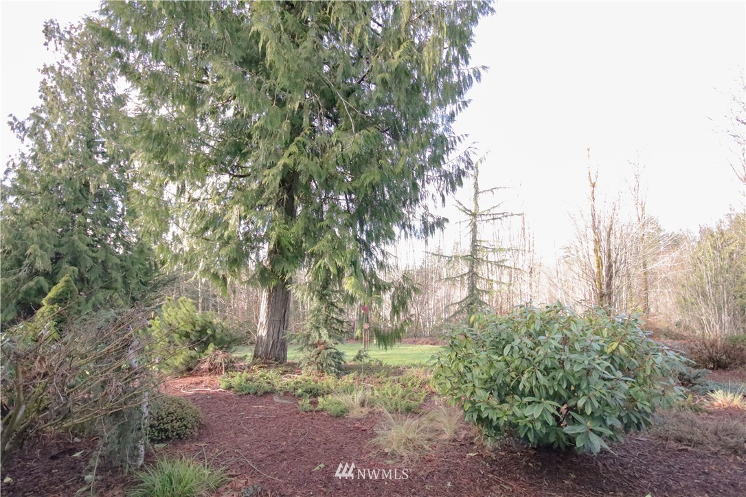 62 Malone Hill Road Elma, WA 98541 - Photo 19 of 24 Gallery Image 19