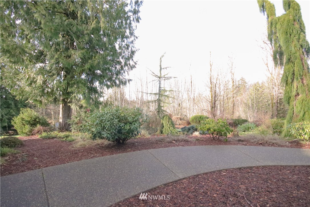 62 Malone Hill Road Elma, WA 98541 - Photo 20 of 24 Gallery Image 20